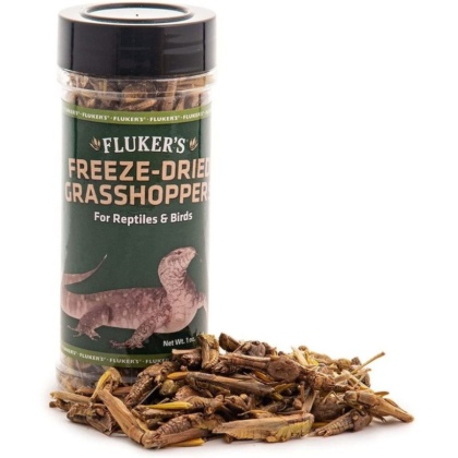 Flukers Freeze-Dried Grasshoppers