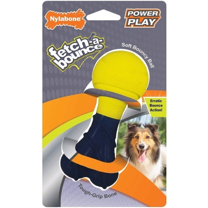 Nylabone Power Play Fetch-a-Bounce Rubber 5