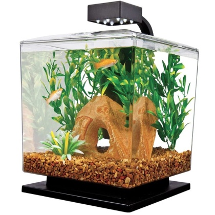 Tetra Cube Aquarium Kit with LED Lighting