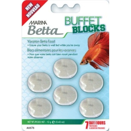 Marina Betta Buffet Blocks 7 Day Vacation Food